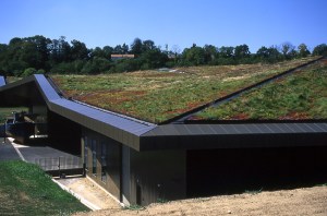 Awesome_Green_Roof